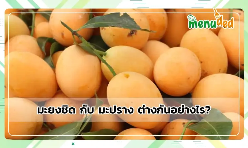 มะยงชิด