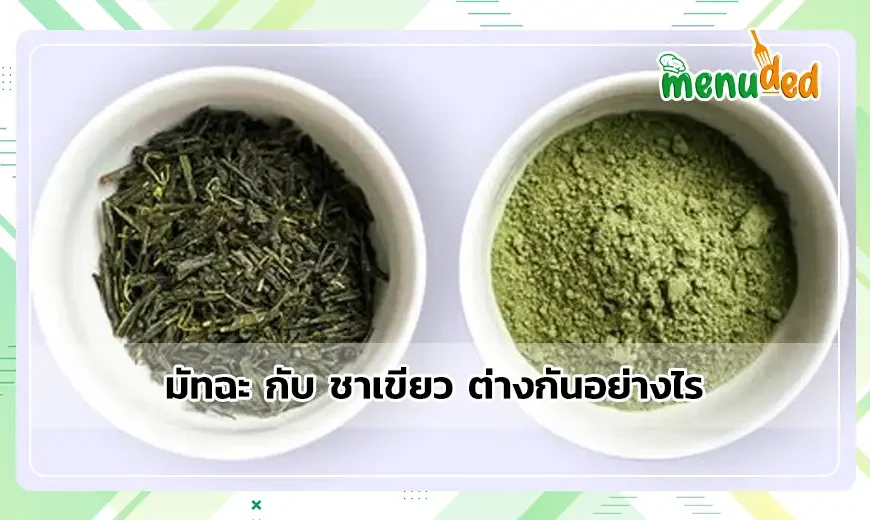มัทฉะ กับ ชาเขียว ต่างกันอย่างไร