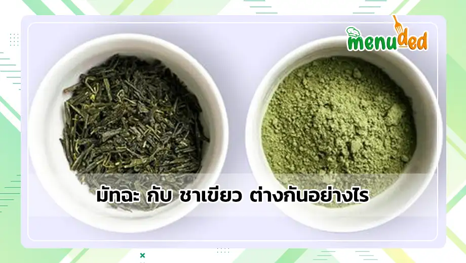 มัทฉะ กับ ชาเขียว ต่างกันอย่างไร