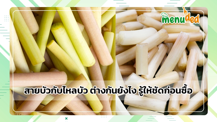 สายบัวกับไหลบัว
