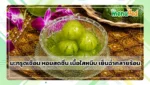มะกรูดเชื่อม